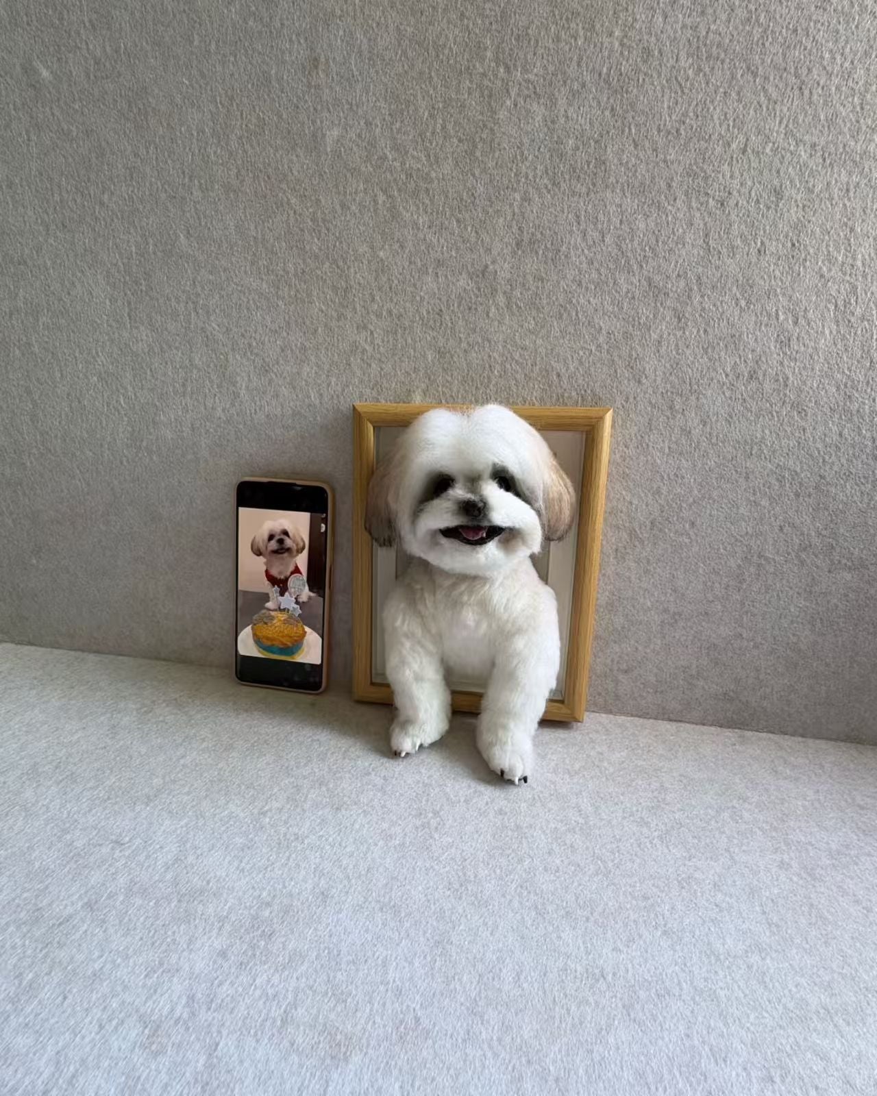 Custom framed Shih Tzu wool portrait