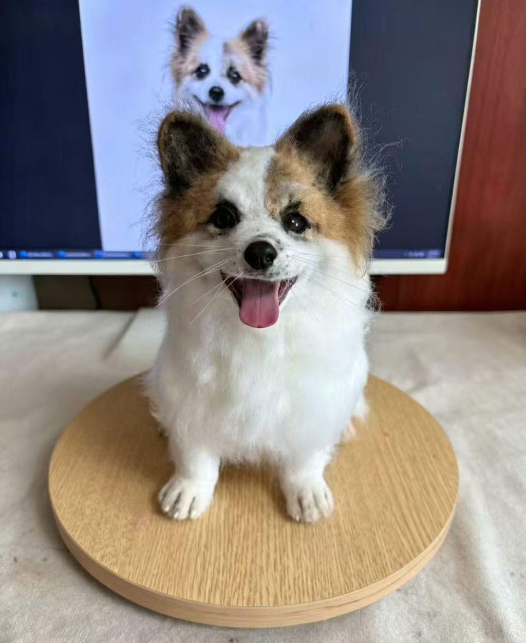 Custom full-body Papillon wool replica